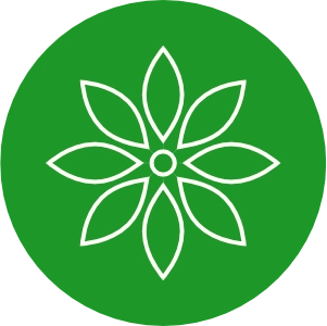 Dekorace